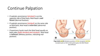 Continue Palpation
• If cephalic prominence (sinciput) is on the
opposite side of fetal back, fetal head is well
flexed (Normal Position).
• If cephalic prominence (occiput) on the same side
as fetal back, fetal head is extended (abnormal
position).
• If examiners hands reach the fetal head equally on
both sides (both sinciput and occiput), fetal head
is deflexed (Military position, indicating mal-
position)
 