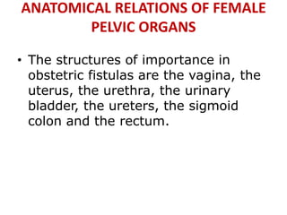 ANATOMICAL RELATIONS OF FEMALE
PELVIC ORGANS
• The structures of importance in
obstetric fistulas are the vagina, the
uterus, the urethra, the urinary
bladder, the ureters, the sigmoid
colon and the rectum.
 