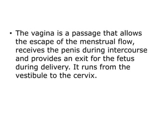 • The vagina is a passage that allows
the escape of the menstrual flow,
receives the penis during intercourse
and provides an exit for the fetus
during delivery. It runs from the
vestibule to the cervix.
 