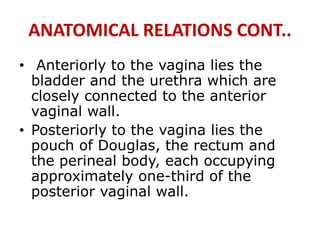 ANATOMICAL RELATIONS CONT..
• Anteriorly to the vagina lies the
bladder and the urethra which are
closely connected to the anterior
vaginal wall.
• Posteriorly to the vagina lies the
pouch of Douglas, the rectum and
the perineal body, each occupying
approximately one-third of the
posterior vaginal wall.
 