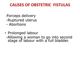 CAUSES OF OBSTETRIC FISTULAS
-Forceps delivery
-Ruptured uterus
- Abortions
• Prolonged labour
-Allowing a woman to go into second
stage of labour with a full bladder.
-
 