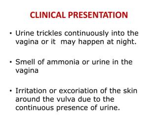 CLINICAL PRESENTATION
• Urine trickles continuously into the
vagina or it may happen at night.
• Smell of ammonia or urine in the
vagina
• Irritation or excoriation of the skin
around the vulva due to the
continuous presence of urine.
 