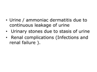 • Urine / ammoniac dermatitis due to
continuous leakage of urine
• Urinary stones due to stasis of urine
• Renal complications (Infections and
renal failure ).
 