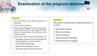 Examination of the pregnant abdomen
 