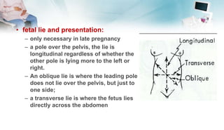 • fetal lie and presentation:
– only necessary in late pregnancy
– a pole over the pelvis, the lie is
longitudinal regardless of whether the
other pole is lying more to the left or
right.
– An oblique lie is where the leading pole
does not lie over the pelvis, but just to
one side;
– a transverse lie is where the fetus lies
directly across the abdomen
 