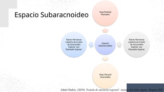 Espacio Subaracnoideo
Admir Hadzic. (2010). Tratado de anestesia regional : manejo del dolor agudo. Mcgraw-Hill.
Espacio
Subaracnoideo
Hoja Parietal
Piamadre
Raíces Nerviosas
cubierta de Fusión
de Aracnoides
Espinal con
Piamadre Espinal
Hoja Visceral
Aracnoides
Raíces Nerviosas
cubierta de Fusión
de Aracnoides
Espinal con
Piamadre Espinal
 