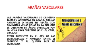 ARAÑAS VASCULARES
LAS ARAÑAS VASCULARES SE DESIGNAN
TAMBIÉN ANGIOMAS EN ARAÑA, ARAÑAS
ARTERIALES O NEVUS EN ARAÑA. SON
DIMINUTAS VENAS ROJAS EN LA PIEL QUE
SE OBSERVAN EN ÁREAS DRENADAS POR
LA VENA CAVA SUPERIOR (CUELLO, CARA,
BRAZOS).
ESTÁN PRESENTES EN EL 67% DE LAS
EMBARAZADAS Y APARECEN ENTRE EL
SEGUNDO Y EL QUINTO MES DE
EMBARAZO.
 