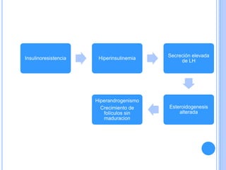 Insulinoresistencia Hiperinsulinemia
Secreción elevada
de LH
Esteroidogenesis
alterada
Hiperandrogenismo
Crecimiento de
folículos sin
maduracion
 