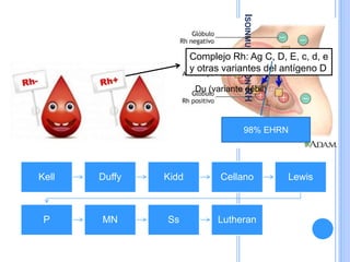 ISOINMUNIZACIÓNRH
Complejo Rh: Ag C, D, E, c, d, e
y otras variantes del antígeno D
Du (variante débil)
Kell Duffy Kidd Cellano Lewis
P MN Ss Lutheran
98% EHRN
 