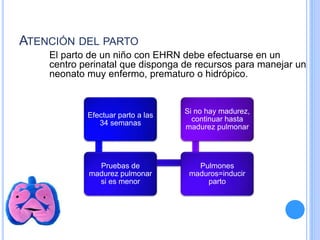 ATENCIÓN DEL PARTO
El parto de un niño con EHRN debe efectuarse en un
centro perinatal que disponga de recursos para manejar un
neonato muy enfermo, prematuro o hidrópico.
Efectuar parto a las
34 semanas
Pruebas de
madurez pulmonar
si es menor
Pulmones
maduros=inducir
parto
Si no hay madurez,
continuar hasta
madurez pulmonar
 