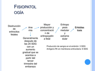 Producción de sangre en el embrión: 3 SDG
Antígeno Rh en membrana eritrocitaria: 6 SDG
Destrucción
de
eritrocitos
fetales
Ane
mia
Mayor
producción y
concentració
n de
eritropoyetin
a fetal
Eritropo
yesis
medular
y
extrame
dular
Eritoblas
tosis
Generalmente
después de
las 20 SDG
con un
aumento
gradual que se
acentúa a
partir del
tercer
trimestre del
embarazo
FISIOPATOL
OGÍA
 