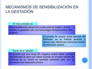MECANISMOS DE SENSIBILIZACIÓN EN
LA GESTACIÓN
Una transferencia sanguínea oculta entre la madre y el feto
durante la gestación por una hemorragia transplacentaria feto
materna
El más probable es:
La prueba de elusión ácida llamada de
Kleihauer, es un método sensible y
exacto para diferenciar eritrocitos fetales
de eritrocitos adultos
Se postula que una mujer Rh negativa puede haber quedado
sensibilizada al nacer por haber recibido en el parto células Rh
positivas de su madre en cantidad suficiente para que se
provocara una respuesta inmune
Teoría de la “abuela”
 