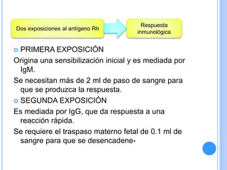  PRIMERA EXPOSICIÓN
Origina una sensibilización inicial y es mediada por
IgM.
Se necesitan más de 2 ml de paso de sangre para
que se produzca la respuesta.
 SEGUNDA EXPOSICIÓN
Es mediada por IgG, que da respuesta a una
reacción rápida.
Se requiere el traspaso materno fetal de 0.1 ml de
sangre para que se desencadene-
Dos exposiciones al antígeno Rh
Respuesta
inmunológica
 