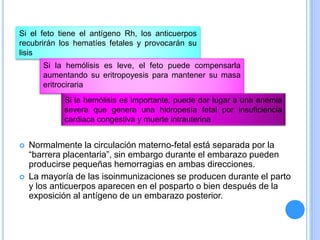  Normalmente la circulación materno-fetal está separada por la
“barrera placentaria”, sin embargo durante el embarazo pueden
producirse pequeñas hemorragias en ambas direcciones.
 La mayoría de las isoinmunizaciones se producen durante el parto
y los anticuerpos aparecen en el posparto o bien después de la
exposición al antígeno de un embarazo posterior.
Si el feto tiene el antígeno Rh, los anticuerpos
recubrirán los hematíes fetales y provocarán su
lisis
Si la hemólisis es leve, el feto puede compensarla
aumentando su eritropoyesis para mantener su masa
eritrociraria
Si la hemólisis es importante, puede dar lugar a una anemia
severa que genera una hidropesía fetal por insuficiencia
cardiaca congestiva y muerte intrauterina
 