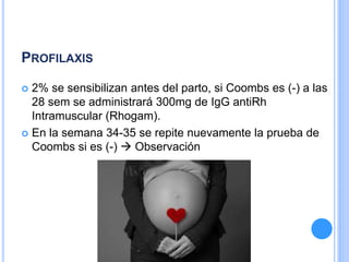 PROFILAXIS
 2% se sensibilizan antes del parto, si Coombs es (-) a las
28 sem se administrará 300mg de IgG antiRh
Intramuscular (Rhogam).
 En la semana 34-35 se repite nuevamente la prueba de
Coombs si es (-)  Observación
 