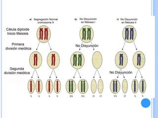 Obstetricia soa isoinmunización
