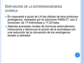 DISFUNCIÓN DE LA ESTEROIDOGÉNESIS
OVÁRICA
 En respuesta a picos de LH las células de teca producen
andrógenos, mediados por la citocromo P450c17, con 2
funciones: de 17-hidroxilasa y 17,20 liasa.
 Además aumentan niveles de hormona antimulleriana
intraovarica y disminuye la acción de la aromatasa con
una reducción de la conversión de los andrógenos
tecales a estradiol.
 