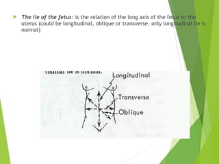  The lie of the fetus: is the relation of the long axis of the fetus to the 
uterus (could be longitudinal, oblique or transverse. only longitudinal lie is 
normal) 
 