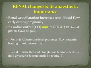 Renal vasodilatation increases renal blood flow
early during pregnancy.
 ↑ Cardiac output(CO) ↑ GFR & ↑ RPF(renal
plasma flow) by 50%.
 ↑ Renin & Aldosterone level promotes Na+ retention
leading to volume overload.
 ↓ Renal tubular threshold for glucose & amino acids →
mild glycosuria & proteinuria (< 300mg/d).
 