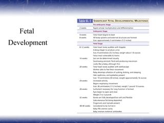 Fetal
Development
 
