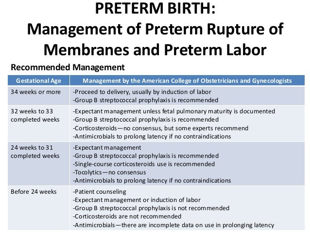 care of preterm baby slideshare
