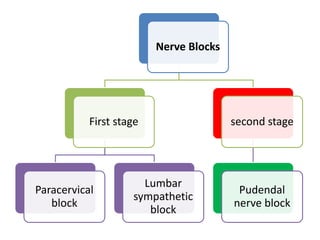Nerve Blocks
First stage
Paracervical
block
Lumbar
sympathetic
block
second stage
Pudendal
nerve block
 