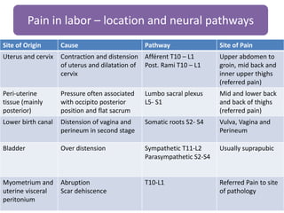 Site of Origin Cause Pathway Site of Pain
Uterus and cervix Contraction and distension
of uterus and dilatation of
cervix
Afférent T10 – L1
Post. Rami T10 – L1
Upper abdomen to
groin, mid back and
inner upper thighs
(referred pain)
Peri-uterine
tissue (mainly
posterior)
Pressure often associated
with occipito posterior
position and flat sacrum
Lumbo sacral plexus
L5- S1
Mid and lower back
and back of thighs
(referred pain)
Lower birth canal Distension of vagina and
perineum in second stage
Somatic roots S2- S4 Vulva, Vagina and
Perineum
Bladder Over distension Sympathetic T11-L2
Parasympathetic S2-S4
Usually suprapubic
Myometrium and
uterine visceral
peritonium
Abruption
Scar dehiscence
T10-L1 Referred Pain to site
of pathology
Pain in labor – location and neural pathways
 