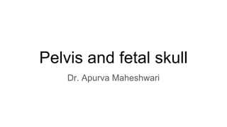 Pelvis and fetal skull
Dr. Apurva Maheshwari
 
