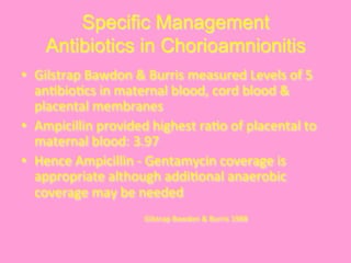 Specific Management
Antibiotics in Chorioamnionitis
•  Gilstrap	
  Bawdon	
  &	
  Burris	
  measured	
  Levels	
  of	
  5	
  
an@bio@cs	
  in	
  maternal	
  blood,	
  cord	
  blood	
  &	
  
placental	
  membranes	
  
•  Ampicillin	
  provided	
  highest	
  ra@o	
  of	
  placental	
  to	
  
maternal	
  blood:	
  3.97	
  
•  Hence	
  Ampicillin	
  -­‐	
  Gentamycin	
  coverage	
  is	
  
appropriate	
  although	
  addi@onal	
  anaerobic	
  
coverage	
  may	
  be	
  needed	
  
	
  
	
  
	
  
	
  
	
   	
   	
   	
  Gilstrap	
  Bawdon	
  &	
  Burris	
  1988	
  
 