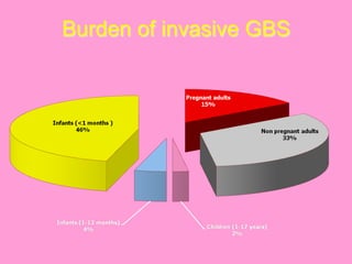 Burden of invasive GBS
 