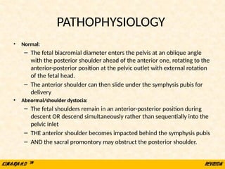 PATHOPHYSIOLOGY
• Normal:
– The fetal biacromial diameter enters the pelvis at an oblique angle
with the posterior shoulder ahead of the anterior one, rotating to the
anterior-posterior position at the pelvic outlet with external rotation
of the fetal head.
– The anterior shoulder can then slide under the symphysis pubis for
delivery
• Abnormal/shoulder dystocia:
– The fetal shoulders remain in an anterior-posterior position during
descent OR descend simultaneously rather than sequentially into the
pelvic inlet
– THE anterior shoulder becomes impacted behind the symphysis pubis
– AND the sacral promontory may obstruct the posterior shoulder.
 