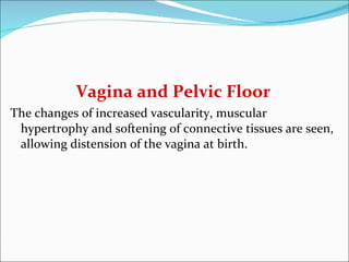 Vagina and Pelvic Floor The changes of increased vascularity, muscular hypertrophy and softening of connective tissues are seen, allowing distension of the vagina at birth. 