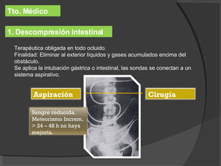 Tto. Médico 1. Descompresión intestinal Terapéutica obligada en todo ocluido. Finalidad: Eliminar al exterior líquidos y gases acumulados encima del obstáculo. Se aplica la intubación gástrica o intestinal, las sondas se conectan a un sistema aspirativo. Aspiración Cirugía Sangre reducida. Meteorismo Increm. > 24 – 48 h no haya mejoría. 