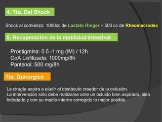 4. Tto. Del Shock Shock al comienzo: 1000cc de  Lactato Ringer  + 500 cc de  Rheomacrodex 5. Recuperación de la motilidad intestinal Prostigmina: 0.5 -1 mg (IM) / 12h CoA Liofilizada: 1000mg/8h Pantenol: 500 mg/8h Tto. Quirúrgico La cirugía aspira a eludir el obstáculo creador de la oclusión. La intervención sólo debe realizarse ante un ocluido bien aspirado, bien hidratado y con su medio interno corregido lo mejor posible. 