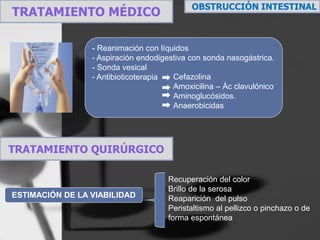 OBSTRUCCIÓN INTESTINAL
TRATAMIENTO MÉDICO

                 - Reanimación con líquidos
                 - Aspiración endodigestiva con sonda nasogástrica.
                 - Sonda vesical
                 - Antibioticoterapia  Cefazolina
                                       Amoxicilina – Ác clavulónico
                                       Aminoglucósidos.
                                       Anaerobicidas




TRATAMIENTO QUIRÚRGICO

                                     Recuperación del color
                                     Brillo de la serosa
ESTIMACIÓN DE LA VIABILIDAD          Reaparición del pulso
                                     Peristaltismo al pellizco o pinchazo o de
                                     forma espontánea
 