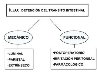ÍLEO: DETENCIÓN DEL TRANSITO INTESTINAL MECÁNICO FUNCIONAL LUMINAL PARIETAL EXTRÍNSECO POSTOPERATORIO IRRITACIÓN PERITONEAL FARMACOLÓGICO