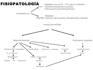FISIOPATOLOGÍA