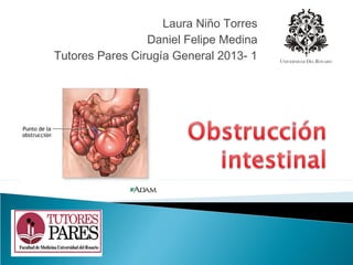 Laura Niño Torres
                 Daniel Felipe Medina
Tutores Pares Cirugía General 2013- 1
 