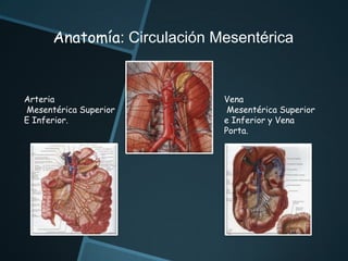 Obstrucción intestinal | PPTX
