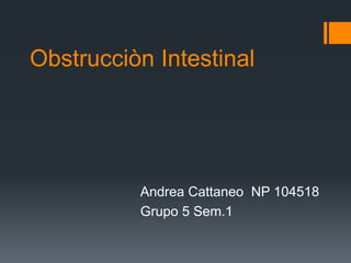 Obstrucciòn Intestinal
Andrea Cattaneo NP 104518
Grupo 5 Sem.1
 