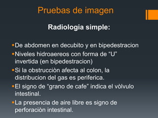Pruebas de imagen
Radiologia simple:
De abdomen en decubito y en bipedestracion
Niveles hidroaereos con forma de “U”
invertida (en bipedestracion)
Si la obstrucciòn afecta al colon, la
distribucion del gas es periferica.
El signo de “grano de cafe” indica el vòlvulo
intestinal.
La presencia de aire libre es signo de
perforaciòn intestinal.
 