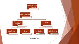 Obstrucción
intestinal
Intestino
delgado
Mecánica Íleo
Colon
Dinámica
Mecánica
Adinámica
Pseudobtructiva
Clasificación
Parciales o Total
 