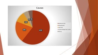 61%20%
10%
5% 4%
Causas
Adherencias
Neoplasias
Hernias
Enfermedad de Cronh
Otros
 