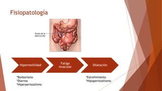Fisiopatología
Hipermotilidad
Fatiga
muscular
Dilatación
*Borborismo
*Diarrea
*Hiperperistaltimo
*Estreñimiento
*Hipoperistaltismo
 