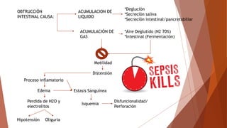 OBTRUCCIÓN
INTESTINAL CAUSA:
ACUMULACION DE
LIQUIDO
ACUMULACIÓN DE
GAS
*Deglución
*Secreción saliva
*Secreción intestinal/pancretobiliar
*Aire Deglutido (N2 70%)
*Intestinal (Fermentación)
Motilidad
Distensión
Proceso inflamatorio
Edema
Perdida de H2O y
electrolitos
Hipotensión Oliguria
Estasis Sanguínea
Isquemia
Disfuncionalidad/
Perforación
 