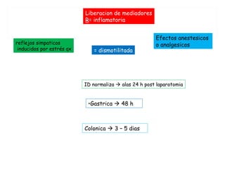 reflejos simpaticos
inducidos por estrés qx = dismotilitada
Liberacion de mediadores
R= inflamatoria
Efectos anestesicos
o analgesicos
ID normaliza  alas 24 h post laparotomia
•Gastrica  48 h
Colonica  3 – 5 dias
 