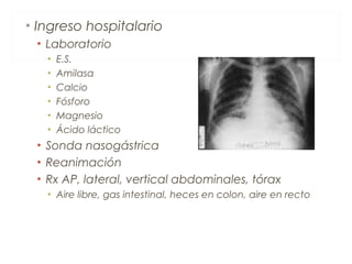 • Ingreso hospitalario
• Laboratorio
• E.S.
• Amilasa
• Calcio
• Fósforo
• Magnesio
• Ácido láctico
• Sonda nasogástrica
• Reanimación
• Rx AP, lateral, vertical abdominales, tórax
• Aire libre, gas intestinal, heces en colon, aire en recto
 