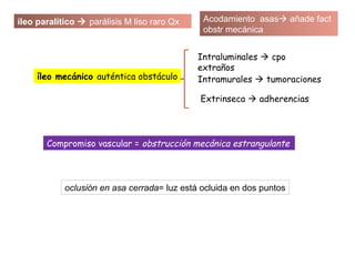 Intraluminales  cpo
extraños
Intramurales  tumoraciones
Extrinseca  adherencias
íleo paralítico  parálisis M liso raro Qx Acodamiento asas añade fact
obstr mecánica
íleo mecánico auténtica obstáculo
Compromiso vascular = obstrucción mecánica estrangulante
oclusión en asa cerrada= luz está ocluida en dos puntos
 