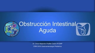Obstrucción Intestinal
Aguda
Dr. Omar Alejandro Padilla Castro R1GNP
CMN SXXI Gastroenterología Pediatrica
 