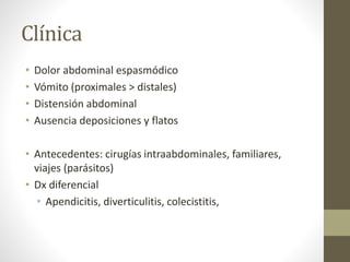 Clínica
• Dolor abdominal espasmódico
• Vómito (proximales > distales)
• Distensión abdominal
• Ausencia deposiciones y flatos
• Antecedentes: cirugías intraabdominales, familiares,
viajes (parásitos)
• Dx diferencial
• Apendicitis, diverticulitis, colecistitis,
 